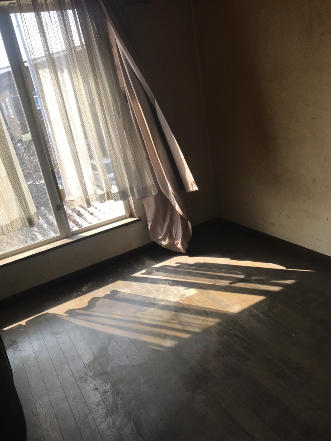 札幌市西区ゴミ屋敷