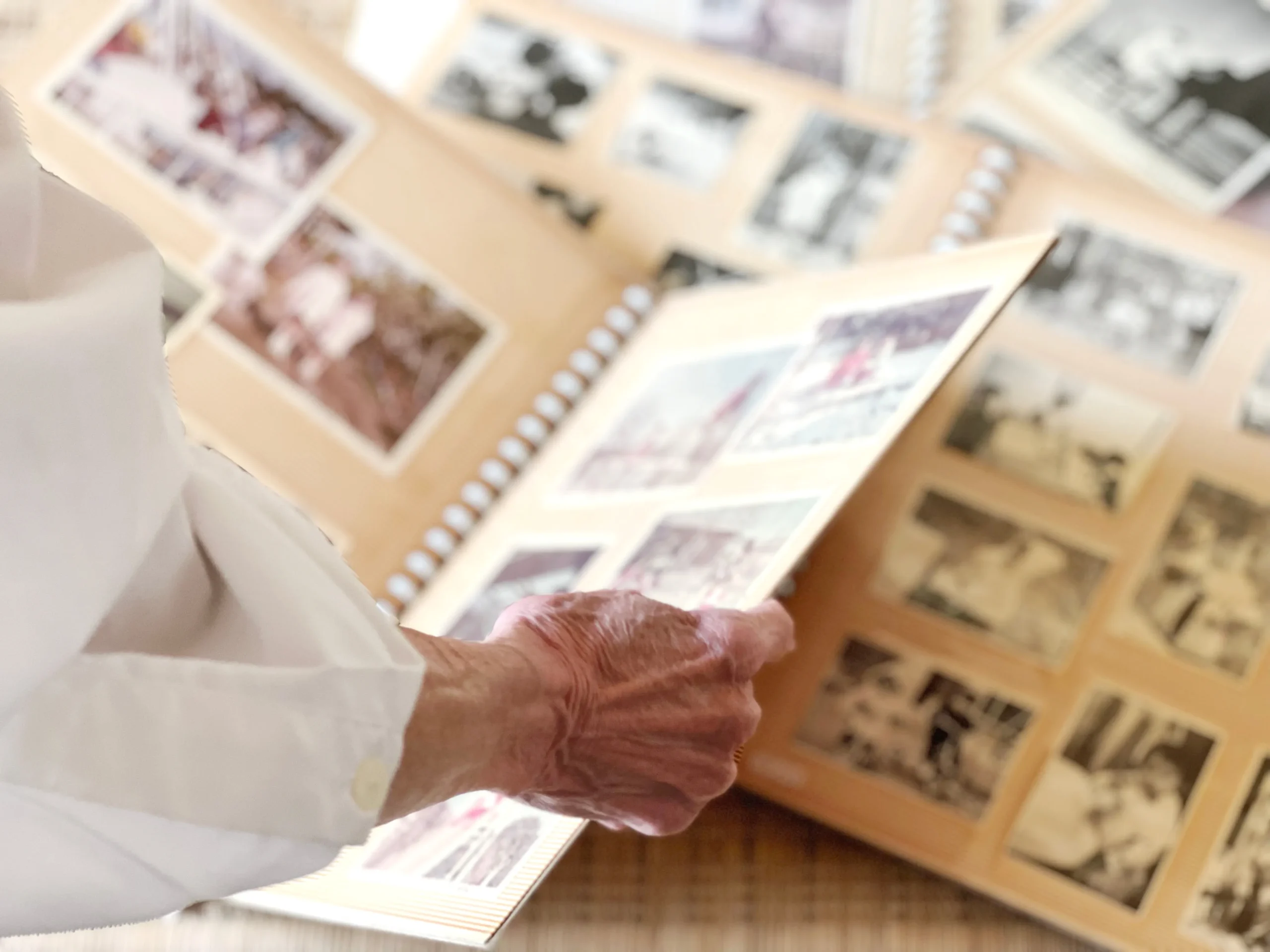 サムネイル画像